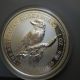 1995 Australian Kookaburra $1 Proof Coin 1 Oz 999 Fine Silver Inside Capsule Silver photo 2