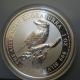 1995 Australian Kookaburra $1 Proof Coin 1 Oz 999 Fine Silver Inside Capsule Silver photo 5