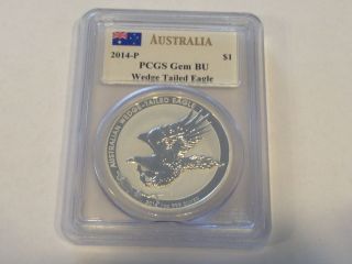 2014 - P Australia 1 Oz Pcgs Gem Bu Silver Wedge Tailed Eagle Coin Mercanti photo