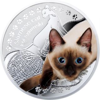Niue 2014 1$ Man ' S Best Friends Cats - Siamese Proof Silver Coin With Swarovski photo