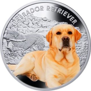 Niue 2013 1$ Man ' S Best Friends Dogs - Labrador Retriever Proof Silver Coin photo