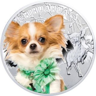 Niue 2013 1$ Man ' S Best Friends Dogs - Chihuahua Proof Silver Coin Limit 1500 photo