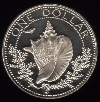 1976 Bahamas Islands Queen Elizabeth Ii One Dollar Silver Proof Coin photo