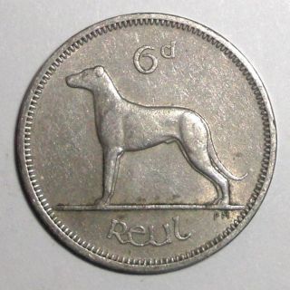 1962 Ireland 6 Pence,  Irish Wolfhound Dog,  Animal Wildlife Coin photo