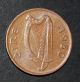 Ireland (1980) One Penny (km 20) Bronze 20.  3 Mm (1 Penny) Europe photo 1
