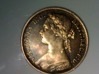 Great Britain Penny Victoria 1876 H (heaton) Copper photo