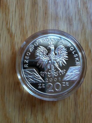 Poland 20 Zlotych 2001 Butterfly Silver Coin Proof Endangered Wildlife Rare photo