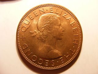 Zealand Penny,  1956,  Red Uncirculated photo