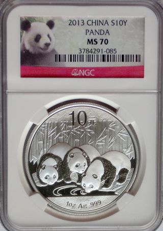 Ngc Registry Ms70 2013 China Panda Silver 10 ¥ Yuan Coin Highest Grade 1oz Prc photo