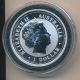 2001 Australian 1 Oz Silver Kookaburra 5 Dollar Coin Australia photo 1
