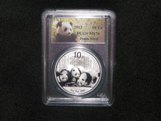 2013 Pcgs Ms70 China Panda 10 Yn Silver Coin 