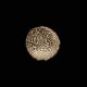 Safawid Silver Shahi Coin Of Tahmasb I Coins: Medieval photo 1
