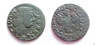 Poland Medieval Copper Coin Solidus 1660 Y.  (3b) photo
