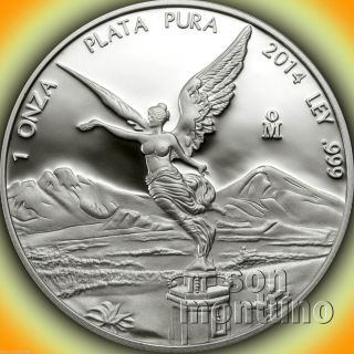 2014 Mexican Silver Libertad 1 Oz Proof Coin In Capsule Only 4700 photo