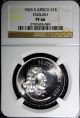 South Africa Silver 1965 1 Rand English Ngc Pf66 Mintage - 25,  000 Km 71.  1 Africa photo 1