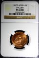 South Africa Bronze 1967 2 Cents English Ngc Pf66 Rd Red Struck - 25,  000 Km 66.  1 Africa photo 1