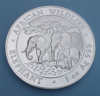 2013 Somalian African Elephant.  999 1oz Silver Deep Cameo 100 Shillings Bu Coin photo