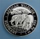2013 Somalian African Elephant.  999 1oz Silver Deep Cameo 100 Shillings Bu Coin Africa photo 1
