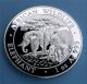2013 Somalian African Elephant.  999 1oz Silver Deep Cameo 100 Shillings Bu Coin Africa photo 3