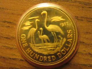 Bahamas 1977 Gold Proof Coin $100 Km 73 In Case photo
