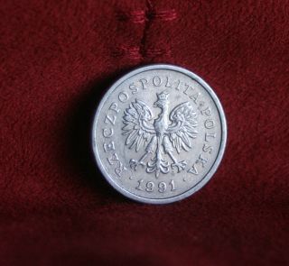 Poland 1 Zloty 1991 World Coin Y282 Polska Eagle With Wings Polish Europe photo