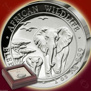 2015 Somalia High Relief Proof African Wildlife Elephant 1oz Silver Coin Box, photo