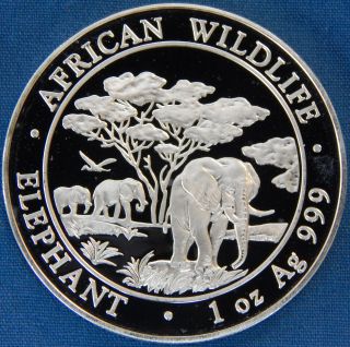 2012 Somalian Elephant / African Wildlife One Ounce 999 Silver Proof L669 photo