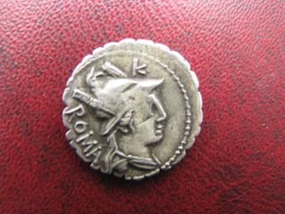 Roman Republic Ar Denarius C.  Poblicius Q.  F.  80 Bc Hercules And Lion photo