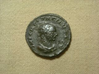 Tacitus,  Ae Antoninianus.  275 - 276 Ad. photo