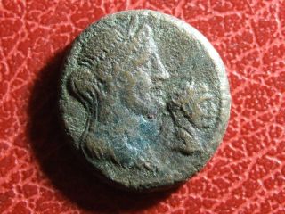 Traianus Phoenicia Arados Bull Leaping Jugate Busts Of Astarte Ae23 Roman Coin photo