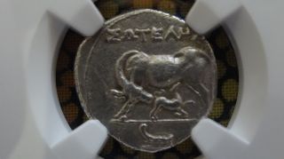 Greek Coin Illyria Apollonia Ar Drachm 3rd - 1st Century Bc Ngc Graded Xf 4/5 3/5 photo
