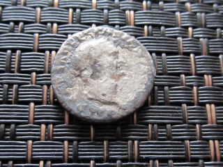 Silver Denarius Vespasian,  Titus & Domitan 71ad Ephesus Ancient Roman Coin photo