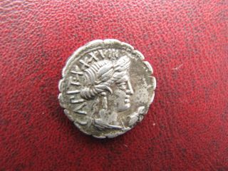 Roman Republic Ar Denarius C.  Marius C.  F.  Capito (81 Bc) Oxen photo