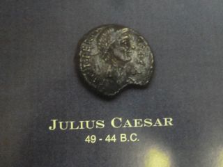 Ancient Roman Coin Poster Of The 12 Caesars Caligula Augustus Julius Caesar Wow photo