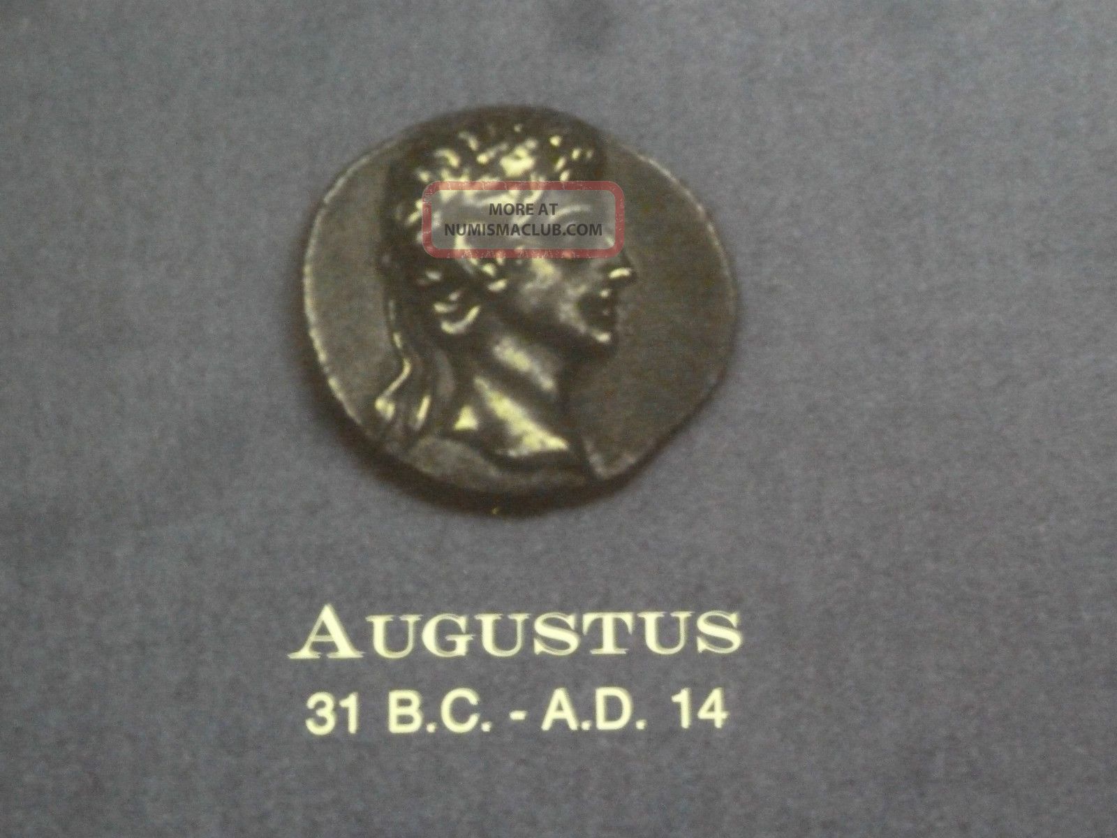 ANCIENT Roman COIN POSTER The 12 CAESARS AUGUSTUS CALIGULA JULIUS CAESAR