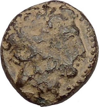 Philip Ii Alexander The Great Dad Olympic Games Ancient Greek Coin Horse I41404 photo