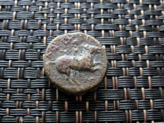 Ancient Greek - Philip Ii Macedonian King Heal Apollo Rare Greek Coin / 6,  14gr photo
