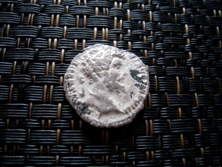 Silver Ar Denarius Septimius Severus 193 - 211 Ad Ancient Roman Coin photo