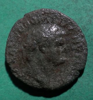 Tater Roman Imperial Ae As Coin Of Domitian As Caesar Spes photo