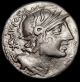 Sergius.  Horseman With Severed Head Very Rare Roman Republic Coin Worth Over$990 Coins: Ancient photo 1