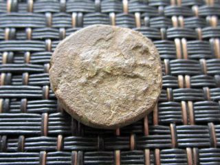 Maroneia 400 Bc Ancient Greek Coin Horse Grapes / 15mm photo
