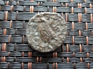 Ancient Greek Bronze Coin Unknown Bird Very Interesting / 16mm photo