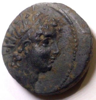 Seleucid Kingdom Antiochos (antiochus) Vi Dionysos Very Fine Bronze Coin photo