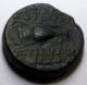 Seleucid Kingdom Antiochos (antiochus) Vi Dionysos Very Fine Bronze Coin Coins: Ancient photo 3