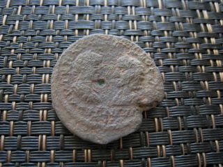 Provincial Roman Coin Of Gordian Iii & Tranquillina Ancient Roman Coin photo