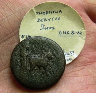 Phoenicia,  Berytus.  Ae24mm,  Divus Nerva.  96 - 98 Ad.  14.  4g.  Nerva - Oxen Ploughing photo