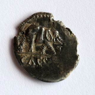 Denar Julius Caesar.  African Rare photo