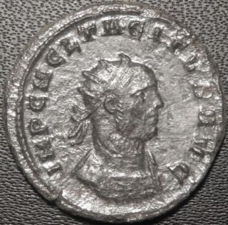 Mortown Tacitus Antoninianus,  Provid Deor Serdica Ef photo