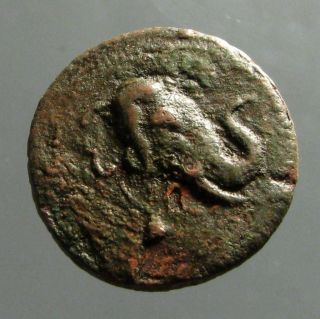 Demetrios I Of Bactria Bronze Ae29_rejoicing Elephant_the Second Alexander photo