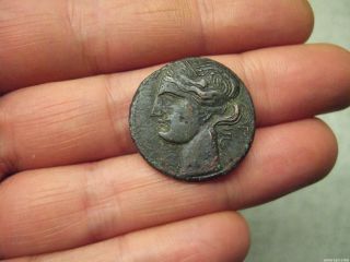 Carthage,  Second Punic War.  Circa 203 - 201 Bc.  Æ Bronze. photo